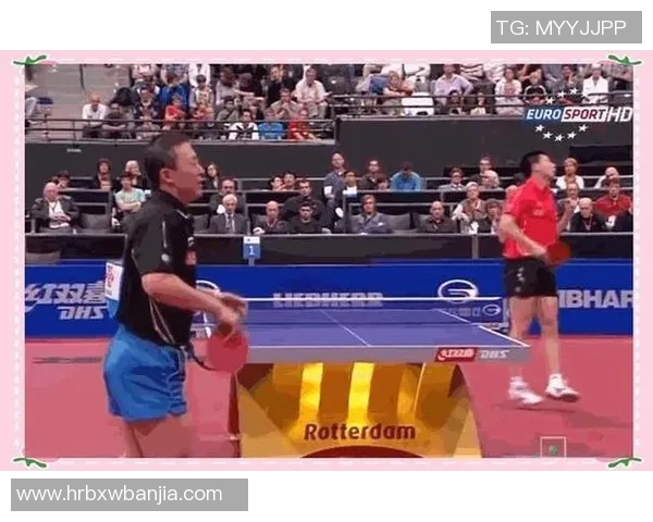 从零基础到高手之路乒乓球技巧与心态全面提升攻略